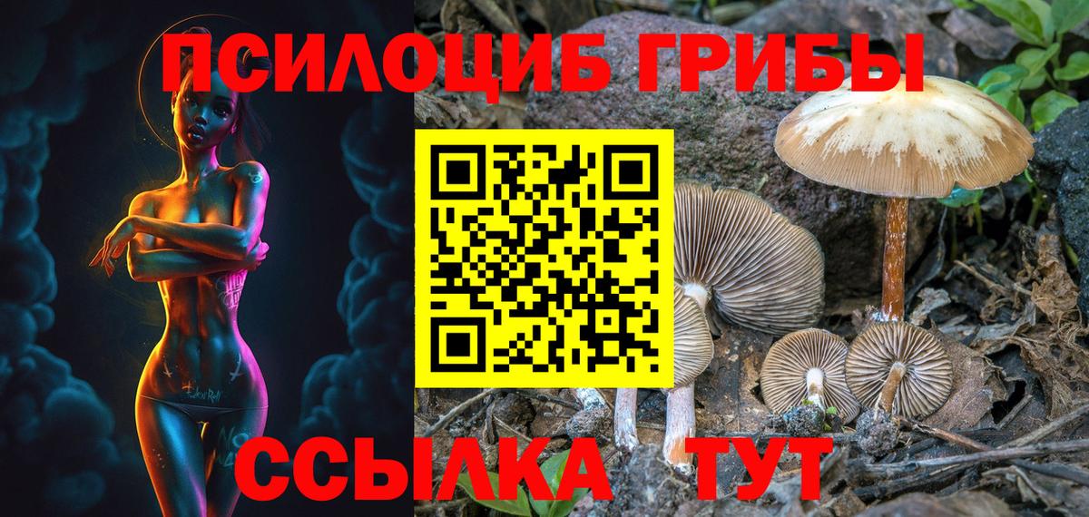 Галлюциногенные грибы мицелий Сатка