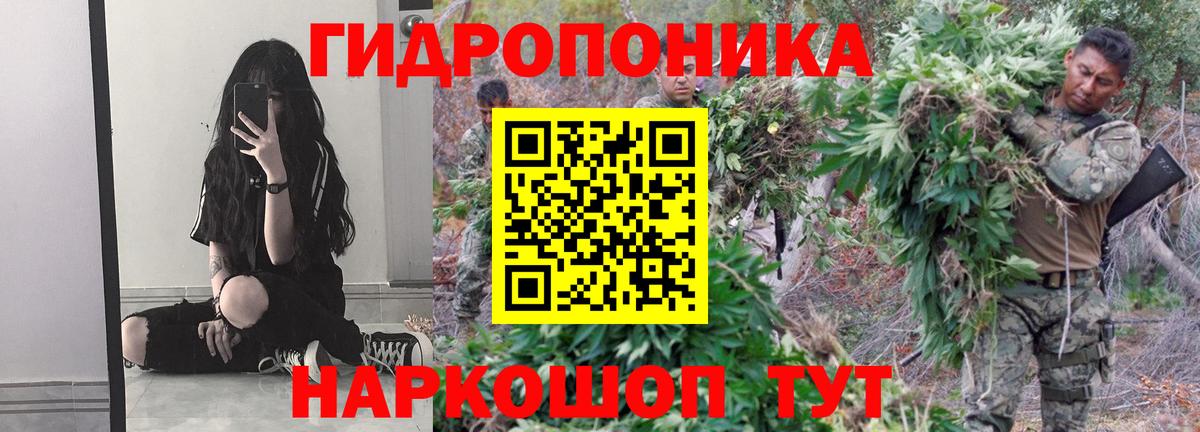 Бошки марихуана марихуана Сатка